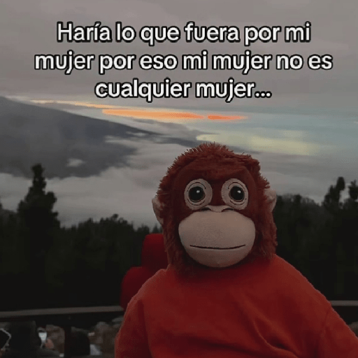 🧿Punch Frases♥️🦧🐒 20