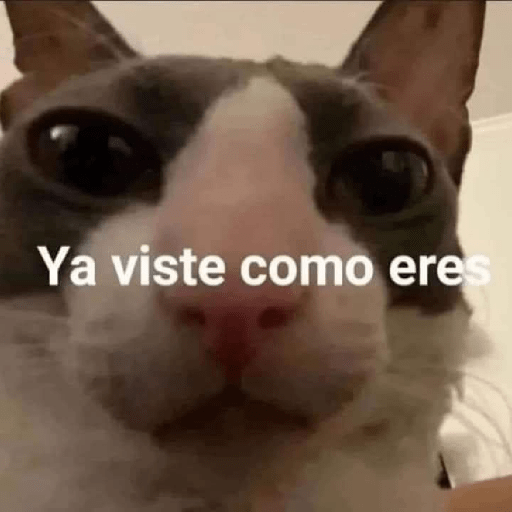 Frases 🤭 6