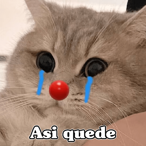 🧿Dilo con Michis3🐱 9