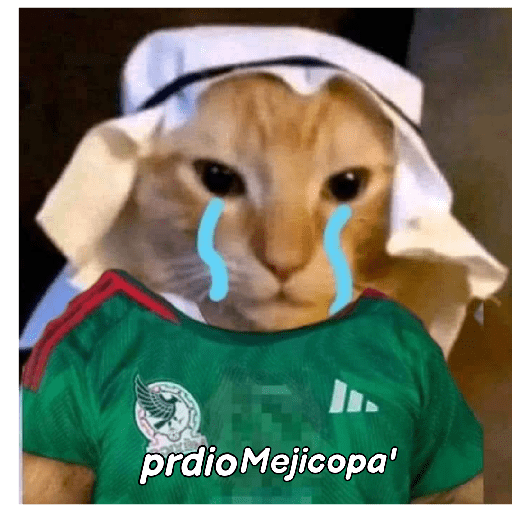 Nuevos 14