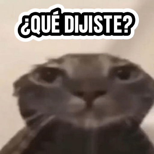 Gatitos frases 😺 5