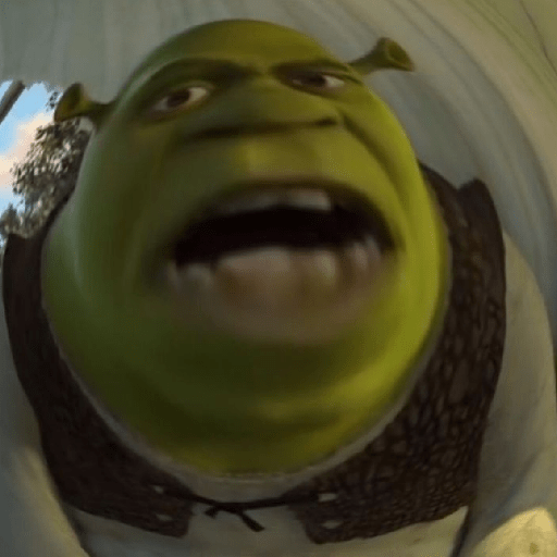 Shrek 🤪 6