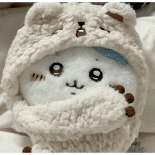🧿Peluche Chiikawa💗🫶🏻 27
