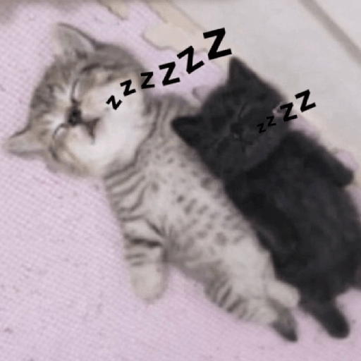 Michis bebes 🥺 8