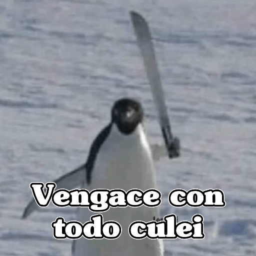 🧿Memes Variados16 😎 14