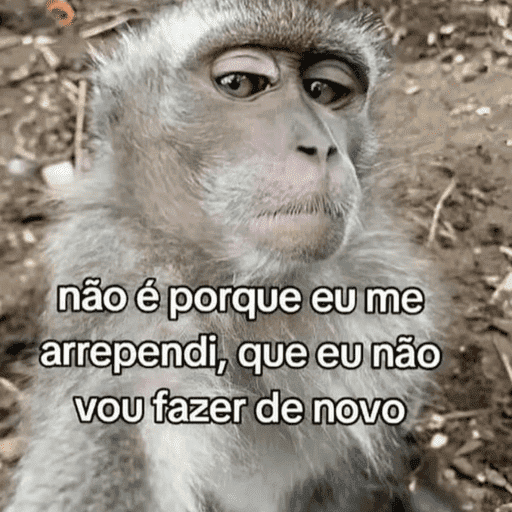 Indiretas  4