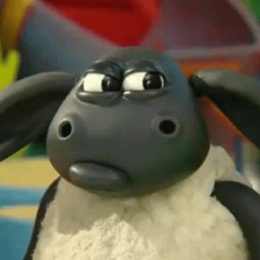 Oveja  5
