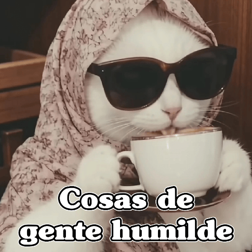 🧿Dilo con Michis3🐱 20
