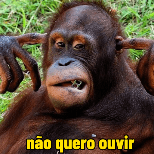 Macaco 2