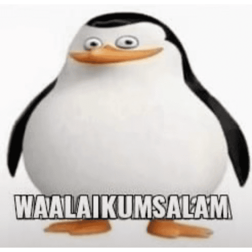 Meme v5 30