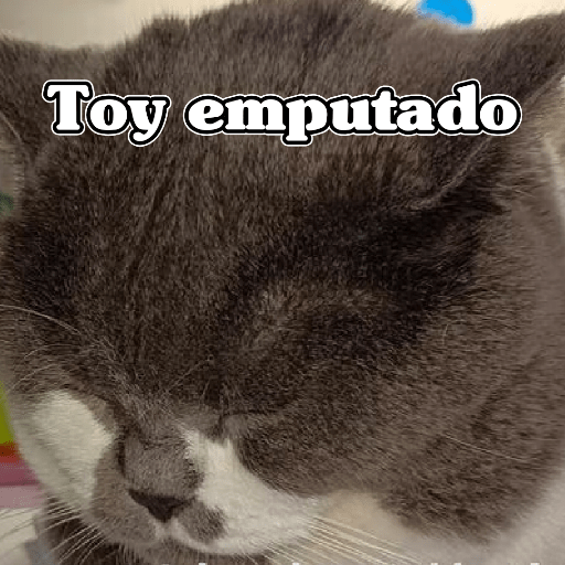 🧿Dilo con Michis3🐱 7