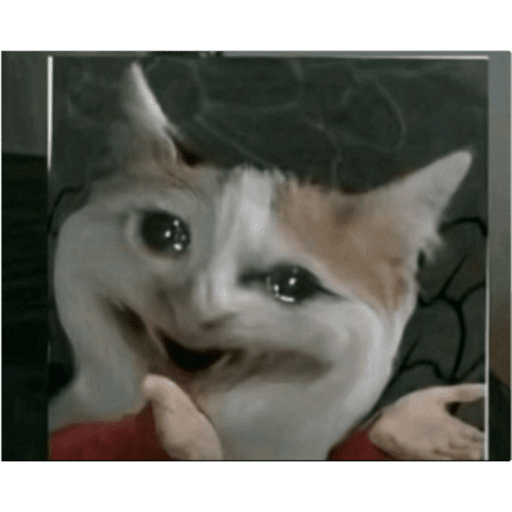 Memesss _xfabx 16