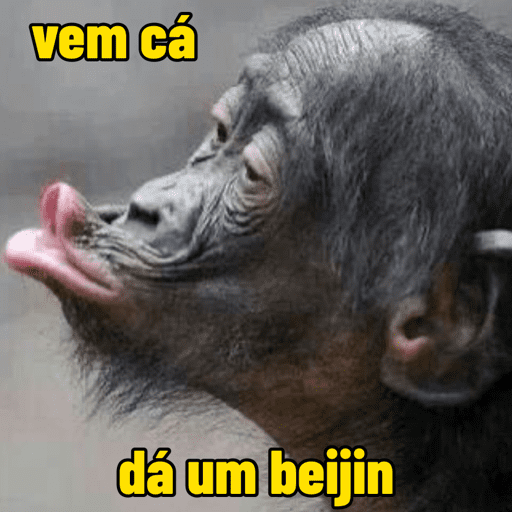 Macacos  2