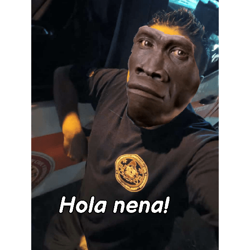 Nuevos 11