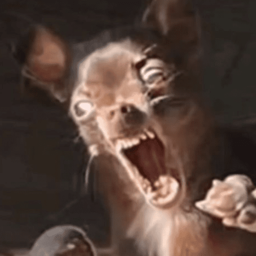 Memes cachorros 10