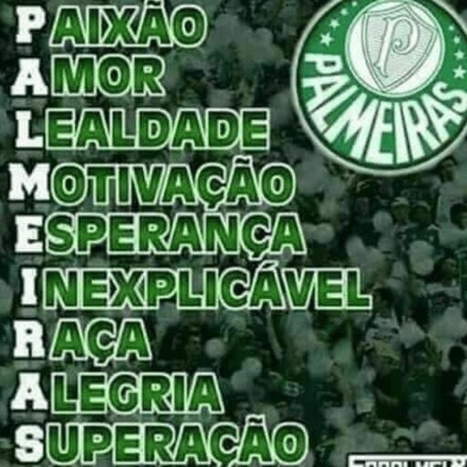 Palmeiras 4