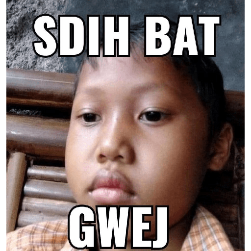 Lucu 8