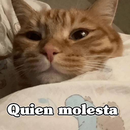🧿Dilo con Michis3🐱 15