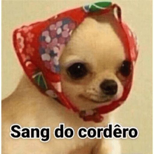 Aleatoriamente aleatório  7