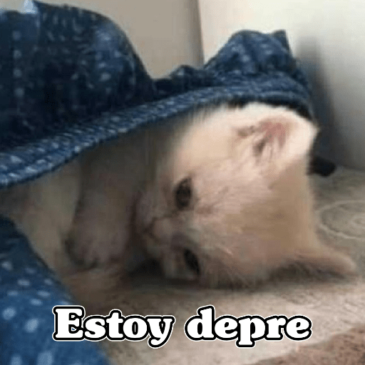 🧿Memes Variados16 😎 24