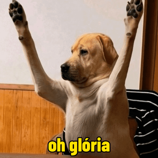 Cachorros  5