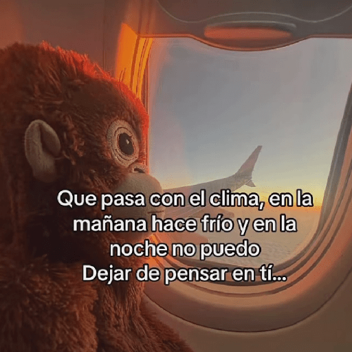 🧿Punch Frases♥️🦧🐒 23