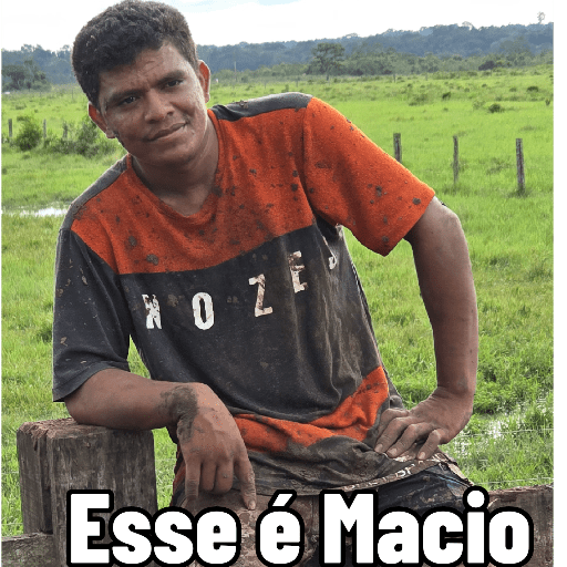Figuras.com 13