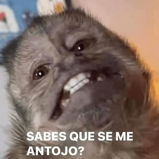 Monos 🙊 8