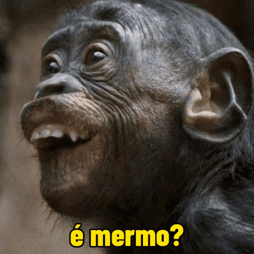 Macacos  3