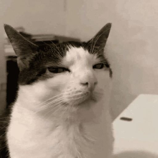 Animais julgando 5