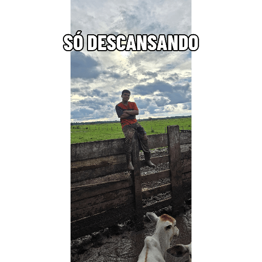 Figuras.com 12