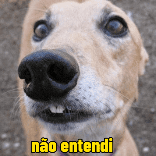 Memes cachorros 5