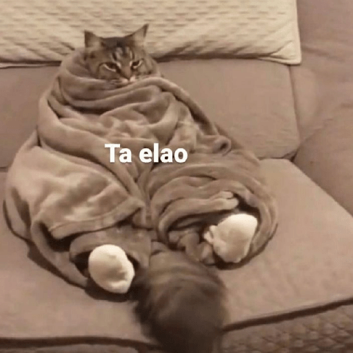 Frases 🤭 4