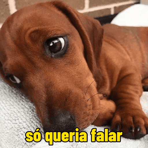 Oi, posso falar 15