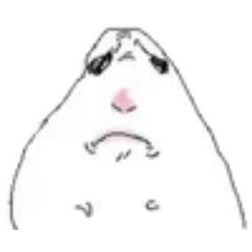 Hamster 4 5