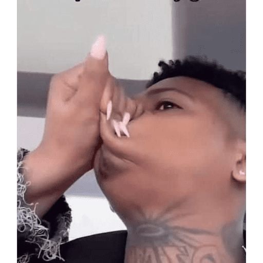 Macaco cidadão  30