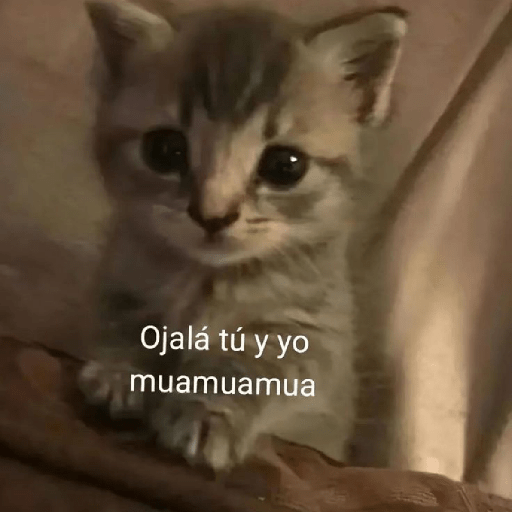 Michis frases 😎 6