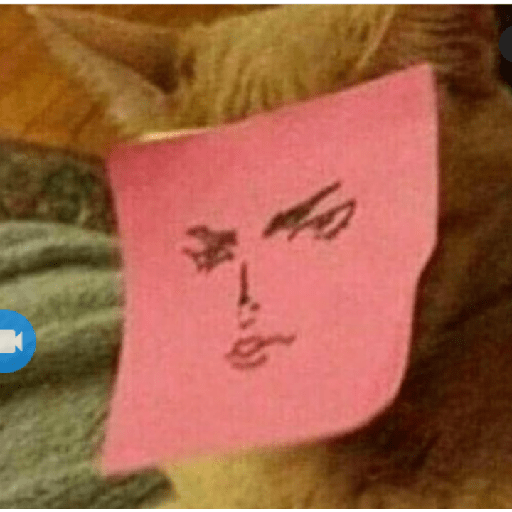 Memes de gatos 5 29