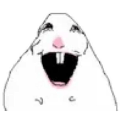 Hamster 5 6