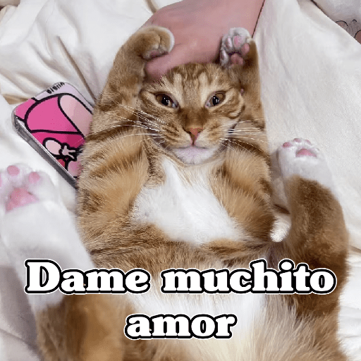 🧿Dilo con Michis3🐱 13