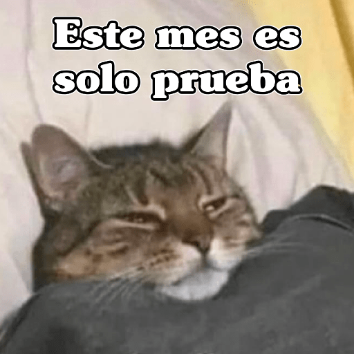 🧿Memes Variados16 😎 21