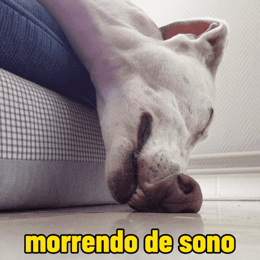 Memes cachorros 4