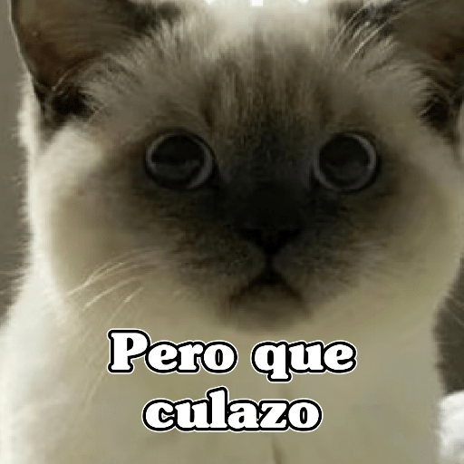 🧿Dilo con Michis2🐱 23