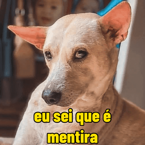 Memes cachorros 9
