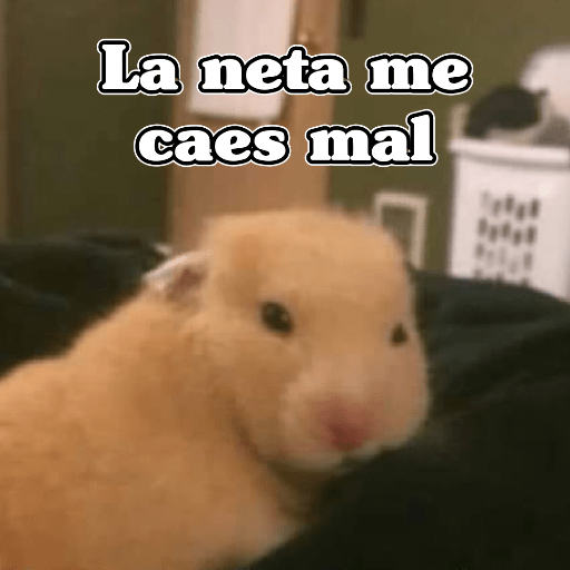 🧿Memes Variados16 😎 15