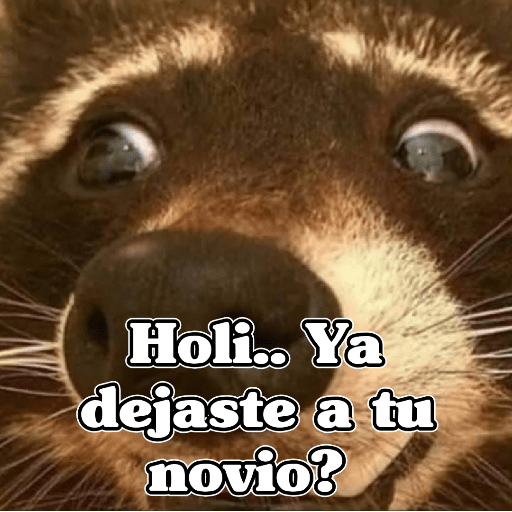 🧿Memes Variados16 😎 22