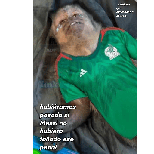 Nuevos 18