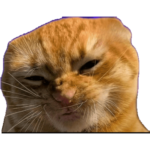 Memesss _xfabx 19