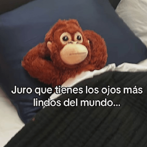 🧿Punch Frases♥️🦧🐒 29