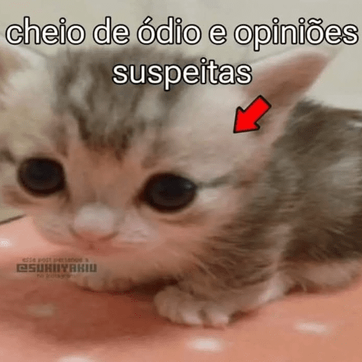 Cats 10 22